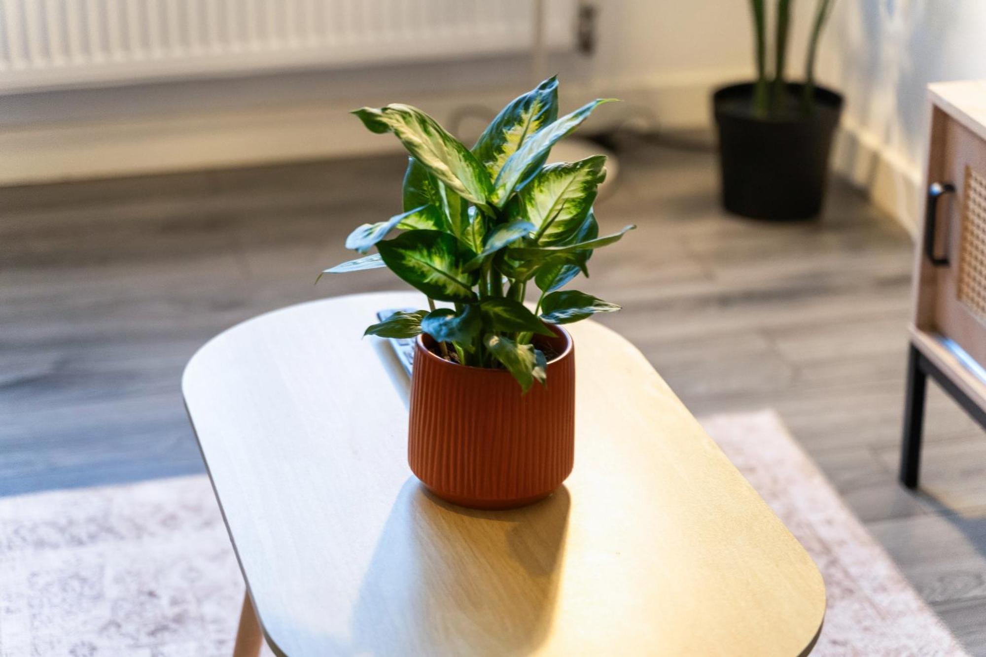 Stylish New Apartment - Free Wifi & Netflix - Top Rated - 3Mh Cradley Heath Εξωτερικό φωτογραφία